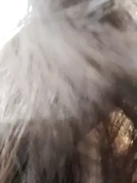 Kiritika 1 online show from 25, 3, 2026