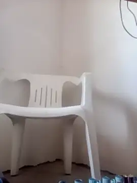 nek36 online show from 31, 3, 2026