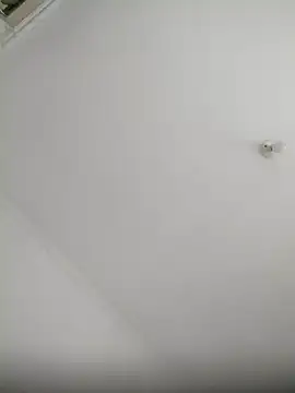 Snapshot of Robertao20cm chatting on 7, 12, 2024 Robertao20cm online show from 7, 12, 2024