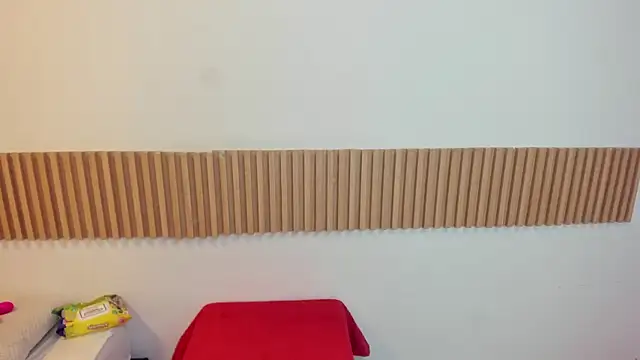 KarolSmithh online show from 14, 4, 2026