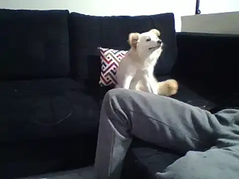 Snapshot of KikiLovesD chatting on 31, 12, 2024 KikiLovesD online show from 31, 12, 2024