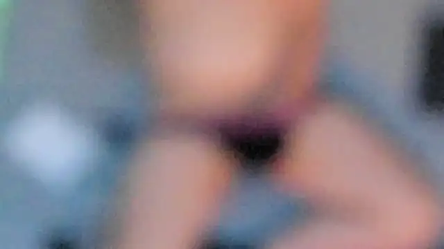 stillwild online show from 9, 11, 2025