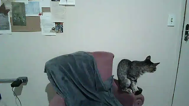 bbyedarling online show from 6, 11, 2025