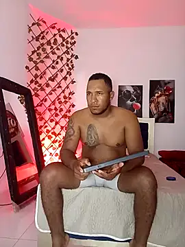 Snapshot of ARTHUR_MINI chatting on 29, 10, 2025 ARTHUR MINI online show from 29, 10, 2025