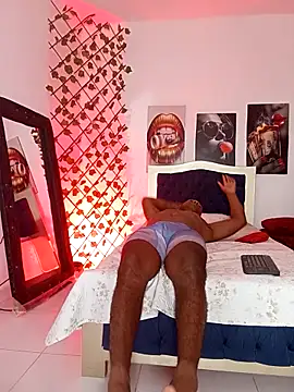 Snapshot of ARTHUR_MINI chatting on 14, 11, 2025 ARTHUR MINI online show from 14, 11, 2025