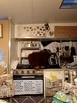 whitetrashdirtyslut online show from 18, 3, 2026