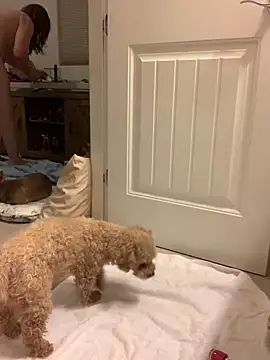 Snapshot of balad13 chatting on 21, 1, 2025 balad13 online show from 21, 1, 2025