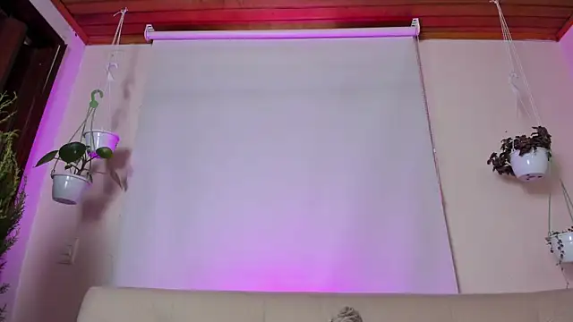 roselinedior online show from 27, 1, 2025