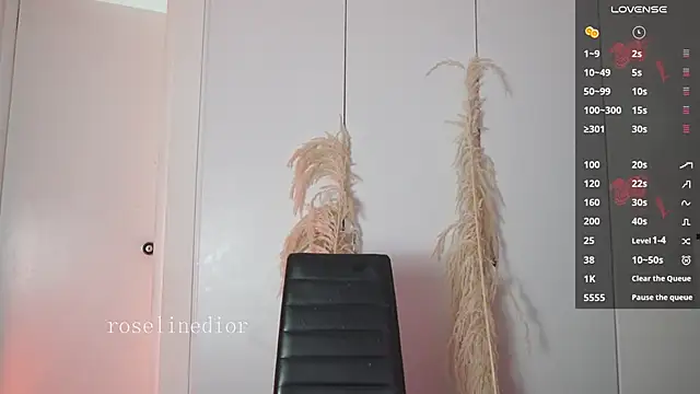 roselinedior online show from 15, 1, 2026