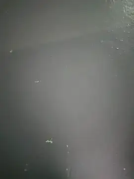 kamasutra20 online show from 19, 12, 2025