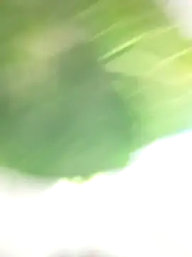 Wanda and cosmo  online show from 7, 3, 2025