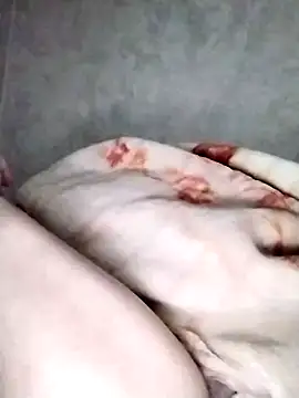 nayakaA7 online show from 11, 3, 2025