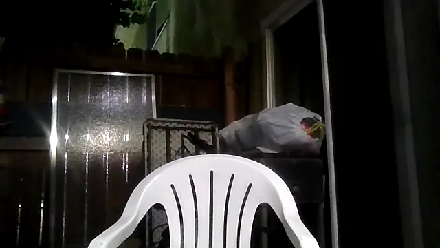 MrDickUdown24 7 online show from 9, 2, 2026