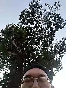 Natanzinhoz online show from 3, 12, 2025