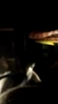 Snapshot of findmemylove chatting on 7, 1, 2025 findmemylove online show from 7, 1, 2025