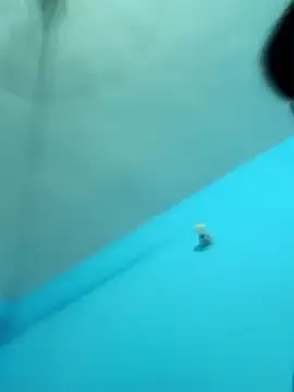 Snapshot of Crezy-Queen01 chatting on 15, 10, 2025 Crezy-Queen01 online show from 15, 10, 2025