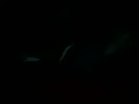 Snapshot of Billythekidd1978 chatting on 22, 3, 2025 Billythekidd1978 online show from 22, 3, 2025