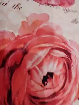 Snapshot of xxcatwomanxx chatting on 31, 1, 2025 xxcatwomanxx online show from 31, 1, 2025