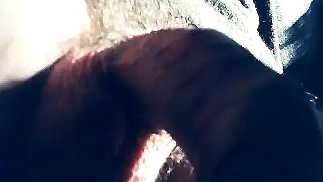 Snapshot of wedge75 chatting on 8, 2, 2025 wedge75 online show from 8, 2, 2025