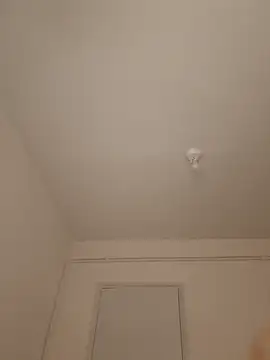 wedge75 online show from 10, 3, 2026