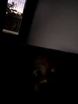 shotgunDee online show from 3, 12, 2025