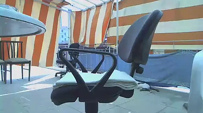 zormen355 online show from 16, 3, 2025