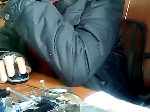 zormen355 online show from 15, 11, 2025