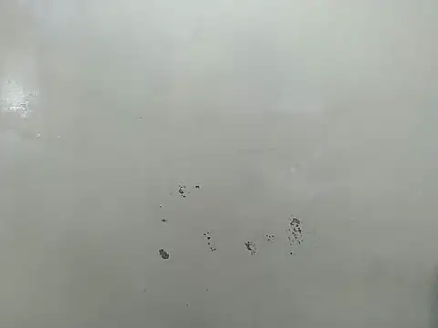 Rasta tattooed online show from 19, 3, 2026