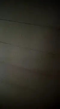 poussychats online show from 16, 2, 2025