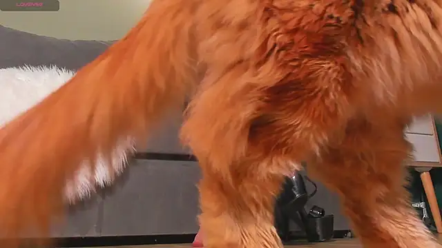 mistresslecter online show from 22, 3, 2026