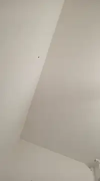 Anitabambola online show from 5, 3, 2025