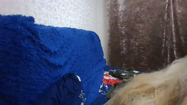 CarlyTreat online show from 30, 11, 2025