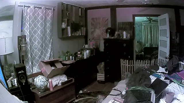 trash4cash online show from 13, 3, 2026