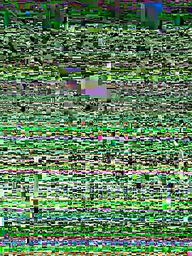 Snapshot of Snehameoww@xh chatting on 21, 11, 2025 Snehameowwxh online show from 21, 11, 2025