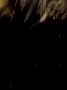 ySqmbVanbe online show from 17, 11, 2025