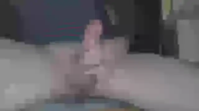 Snake201983 online show from 4, 1, 2025