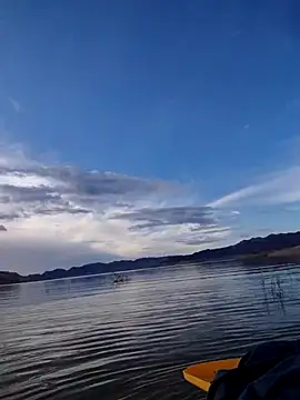 Snapshot of FloppyPickle4u chatting on 13, 2, 2026 FloppyPickle4u online show from 13, 2, 2026