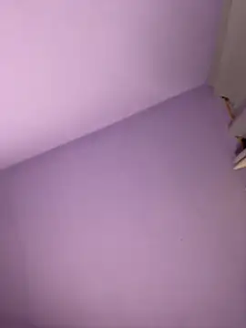 emiss  online show from 14, 2, 2026