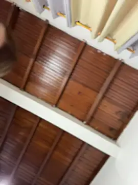 emiss  online show from 5, 3, 2026