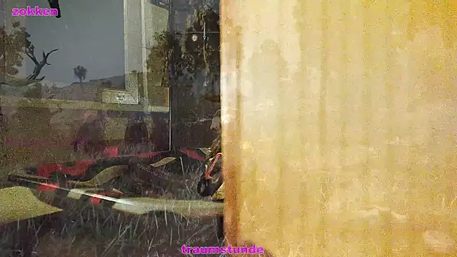 BongChannel online show from 21, 1, 2025