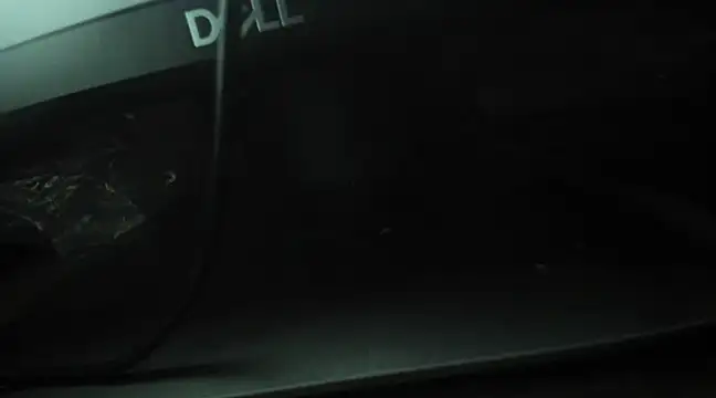 Emma-Wilson online show from 4, 2, 2025