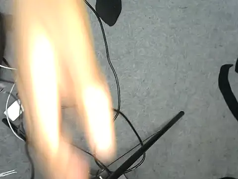 Bella cute01 online show from 31, 10, 2025