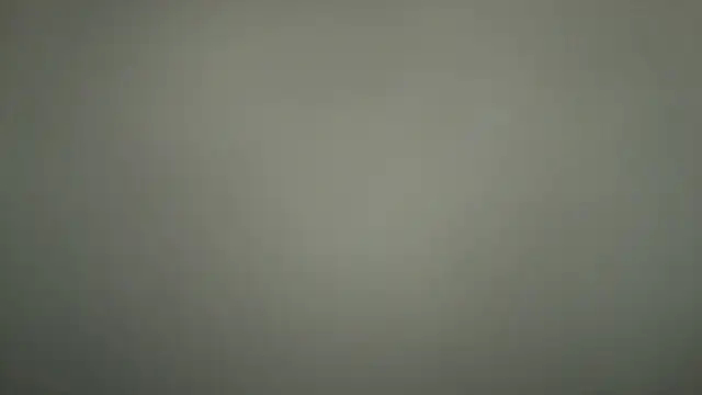 Loona-Lexxington online show from 4, 12, 2025