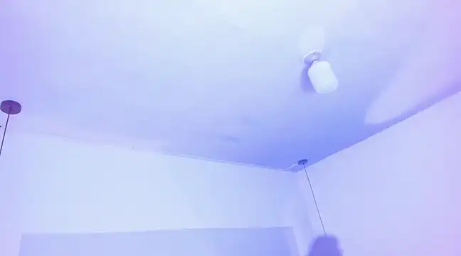 Emily Gil1 online show from 19, 3, 2025