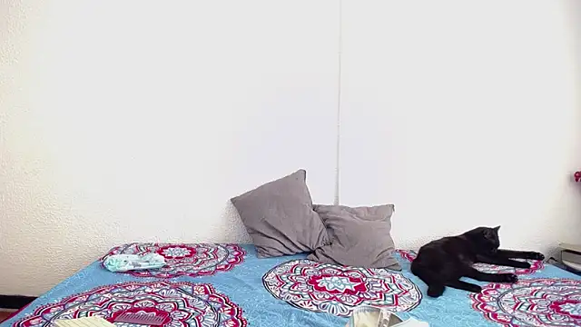  joanne and oliver  online show from 17, 9, 2025