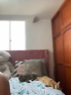 ValerieHilton online show from 12, 3, 2025