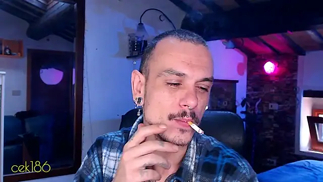 cek 186 online show from 8, 11, 2025