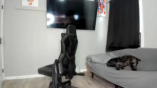 Persiasparadise online show from 7, 10, 2025