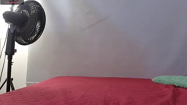 alissonandamy online show from 3, 4, 2026