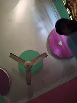 Dream kolkata online show from 17, 1, 2026